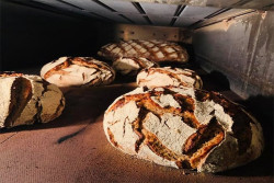 Boulangerie pâtisserie Miramas